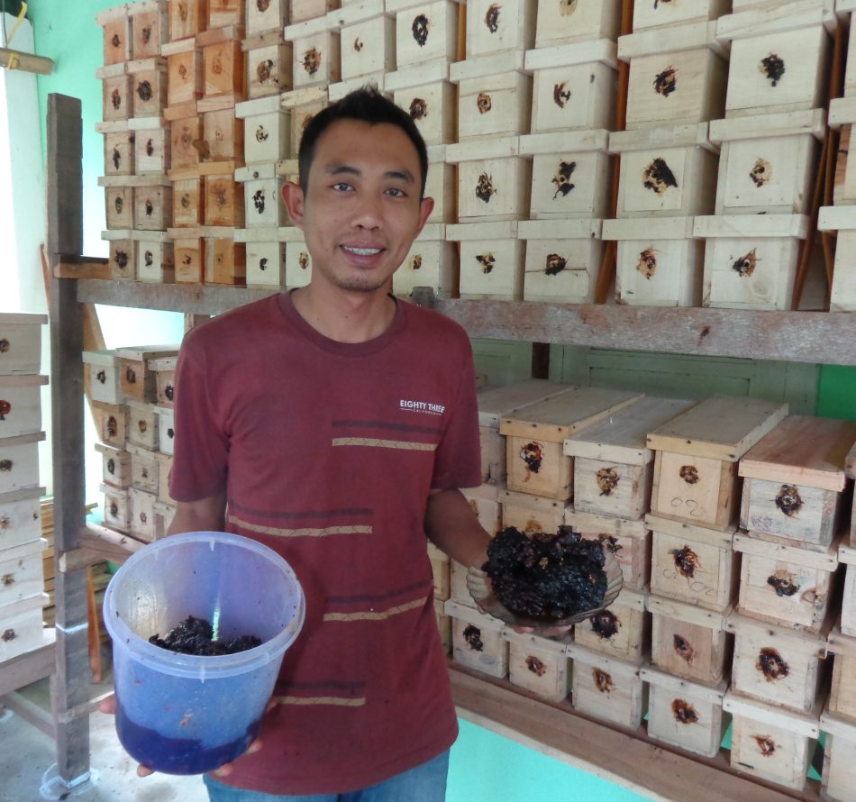 Pak Dukuh Kembangkan Mangir Kidul Jadi Sentra Madu Lanceng