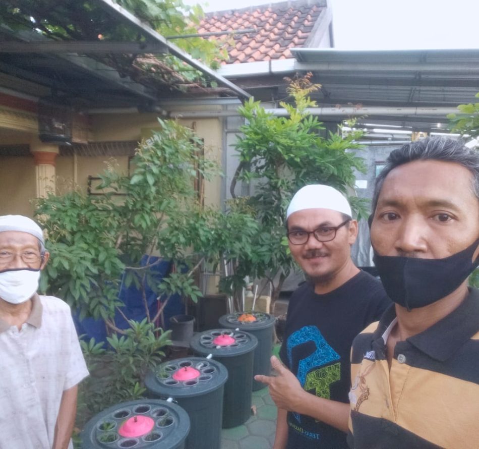 Budidaya Ikan Lele Dalam Ember