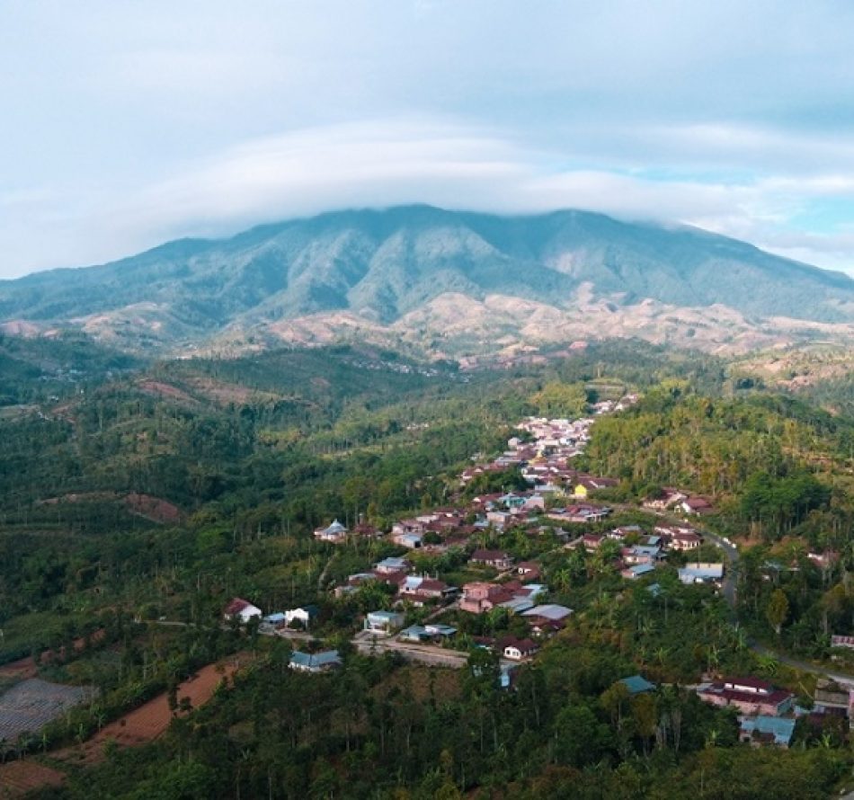 Desa Sejahtera Astra Kendal Penghasil Minyak Atsiri