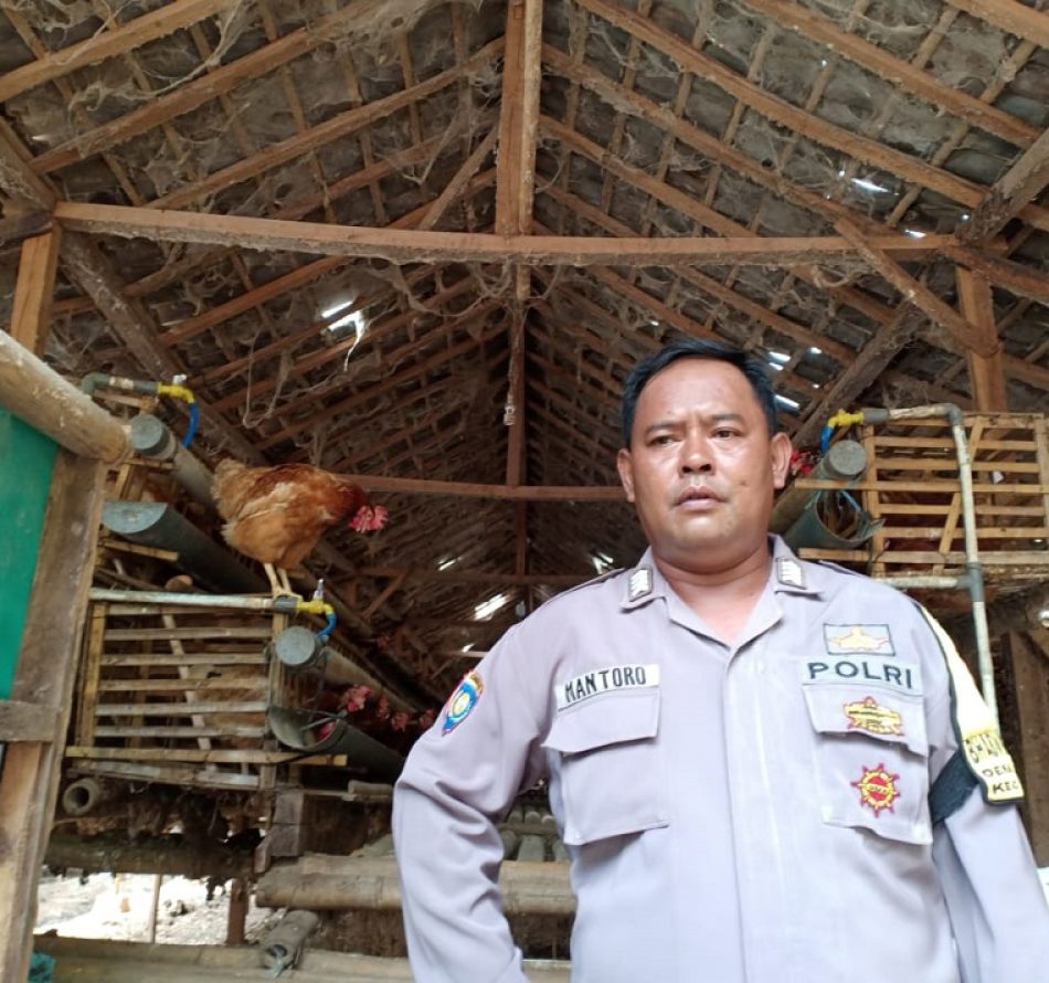 Bripka Sumantoro, Polisi Entrepreneur Budidaya Ayam, Lele, Maggot, dan Azolla