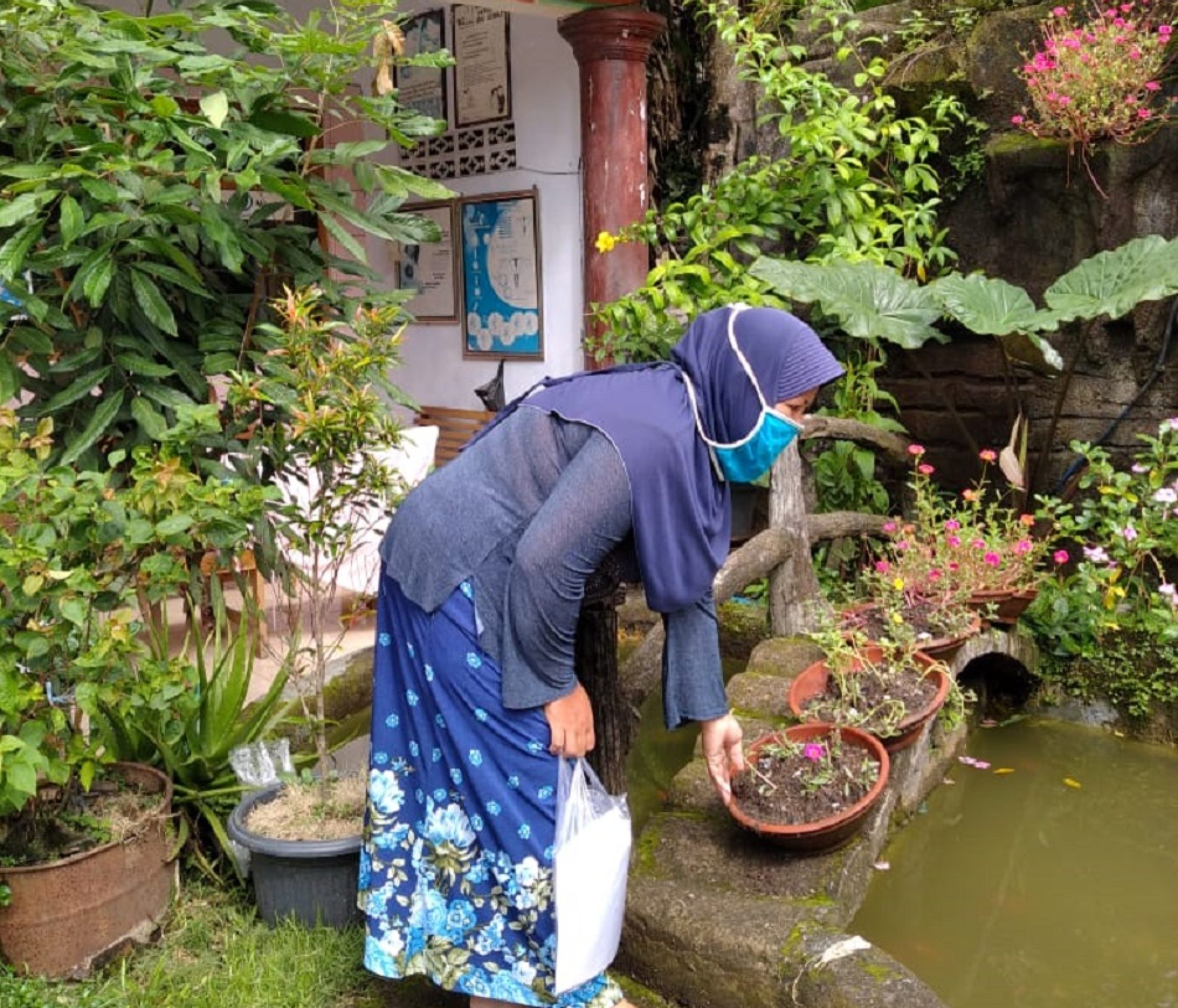 Program Jumantik, Lingkungan Bersih Bebas Jentik