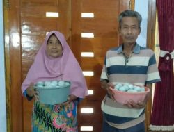 Produksi Telur Asin, Usaha Sambilan Tambah Pendapatan Keluarga