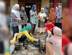 Rumah Pangan Lestari, Satu Rumah Sepuluh Polibag