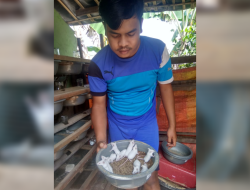 Ternak Mencit, Kebutuhan Pasar Tinggi Sebagai Pakan Ternak dan Hewan Uji Coba