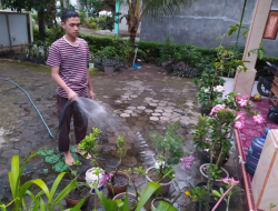 Tanaman Bunga Makin Banyak Bisa Jadi Peluang Usaha