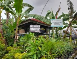 Menyulap Lahan Kosong Menjadi Kebun Sayur