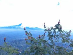 Menikmati Panorama Empat Gunung dari Puncak Suroloyo