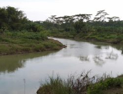 Blengketan dan Asal-Usul Desa Kedungwinangun