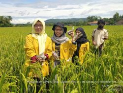 Mahasiswa PKL Unsoed Uji Kesuburan Tanah dengan PUTS