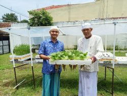 Bikin Kebun Hidroponik, Hasil Panen Dibagikan Buat Warga