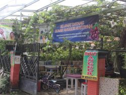 Kampung Anggur Sarana Edukasi Sekaligus Berdayakan Warga