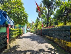 Kelompok Tani LorSay Gembira Juara 2 Tingkat Kota Yogya