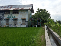 Sanggar Anak Alam Membangun Ekosistem Belajar