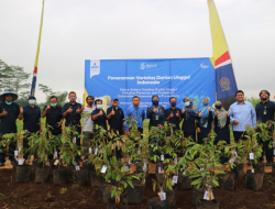 UMP Miliki 23 Durian Unggul Asli Indonesia