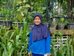 Hijaukan Pekarangan Rumah Tanam Sayuran