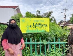Manfaatkan Lahan Kosong, KWT Mutiara Menanam Toga