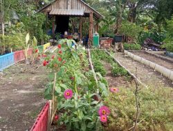 Kelompok Tani Ngudi Mulyo Renovasi Kawasan Bekas Tempat Pembuangan Sampah Jadi Lahan Perkebunan dan Perikanan