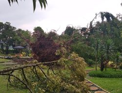 Dihantam Angin Ribut, Sanggaluri Park Purbalingga Porak Poranda