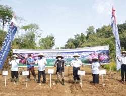 BI DIY Dukung Pengembangan Budidaya Bawang Merah ‘Glowing’