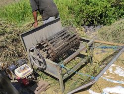 Erek-erek Perontok Gabah Petani