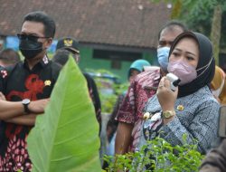 Bupati Berikan Bantuan dan Semangati Warga yang Tengah Isolasi Mandiri