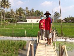 Pengembangan Kawasan Mina Padi Polaman Mengarah pada Konsep Ekowisata