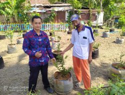 Kembangkan Wisata Petik Buah, Warga Tresnorejo Tanam Bibit Jeruk