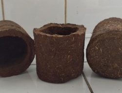 Eco-Pot Alternatif Pot Ramah Lingkungan
