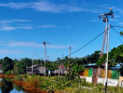 Dukung Ketahanan Pangan Nasional, PLN Siap Pasok Listrik ke Kawasan Food Estate Kalteng