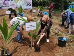 Purbalingga Dapat Bantuan Bibit Kelapa dari Kementerian Pertanian RI