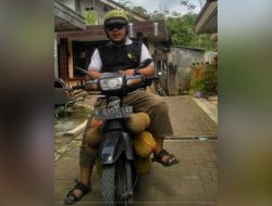 Petani Penawangan Mulai Panen Durian