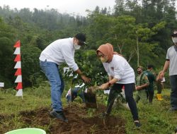 Tanam 1.000 Pohon untuk Konservasi Mata Air di Purbalingga