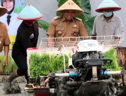 Bupati Kebumen Tanam Padi di Sawah Kebun Kita