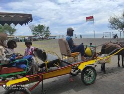 Wisata Desa: Naik Andong dari Ndalem Nampan ke Pantai Trisik