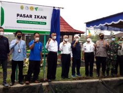 Pasar Ikan Kelompok Mina Padi Sedyo Makmur Sediakan Nila Segar Panen Petani