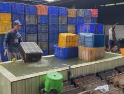Perajin Tahu Kediri Tetap Berproduksi