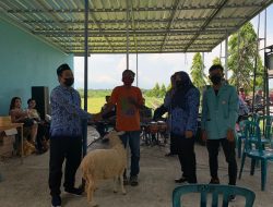 Gelar SHL PBB Pemdes Patukgawemulyo Sediakan Doorprize dan Hadiah Utama Dua Ekor Kambing