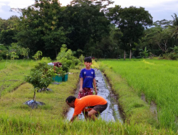 Petani Sejahtera Pedagang Untung Masyarakat Tersenyum