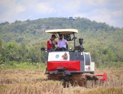 Kerjasama Petani, Swasta, dan Pemerintah Tingkatkan Produksi Padi