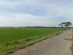 30 KK Desa Jatimulyo Terdampak Proyek Tol Cilacap-Yogyakarta