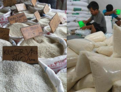 Negara Berencana Batasi Ekspor Bahan Pokok Pangan