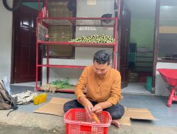 Peduli Pangan Dirikan Kedai Sayur 24 Bantu Pemasaran Hasil Panen Kelompok Tani