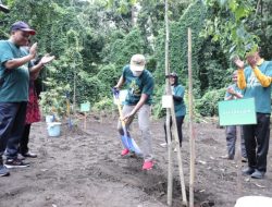 Tiga Belas Jenis Tanaman Nusantara Ditanam di Arboretum Fakultas Kehutanan UGM