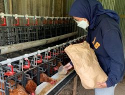 Nareta Defiani Raih Predikat Peneliti Terbaik Indofood Riset Nugraha