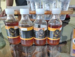 Madu Lanceng Antibiotik Herbal