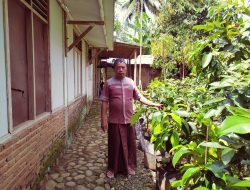 Fungsi Pupuk Berunsur Nitrogen, Phospor, dan Kalium bagi Tanaman Buah Klengkeng