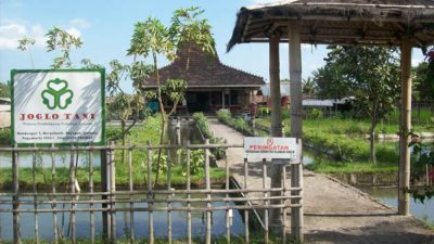 Delapan Penghasilan Petani Milenial