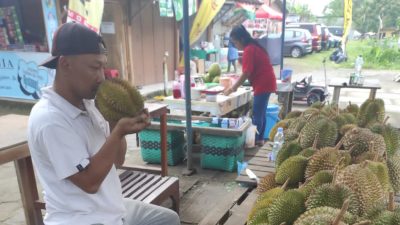 Standar Minimal Mutu Durian