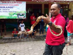 Mitos Ular Takut dengan Garam Tidaklah Benar