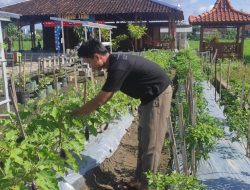 Studio Tani Panti Asuhan An-Nur Ajarkan Anak Yatim Menanam